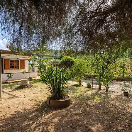 Dom wakacyjny Mediterranean Garden House